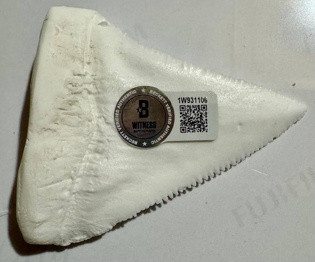 Richard Dreyfuss Signed Shark Tooth (Jaws) - Beckett COA #02