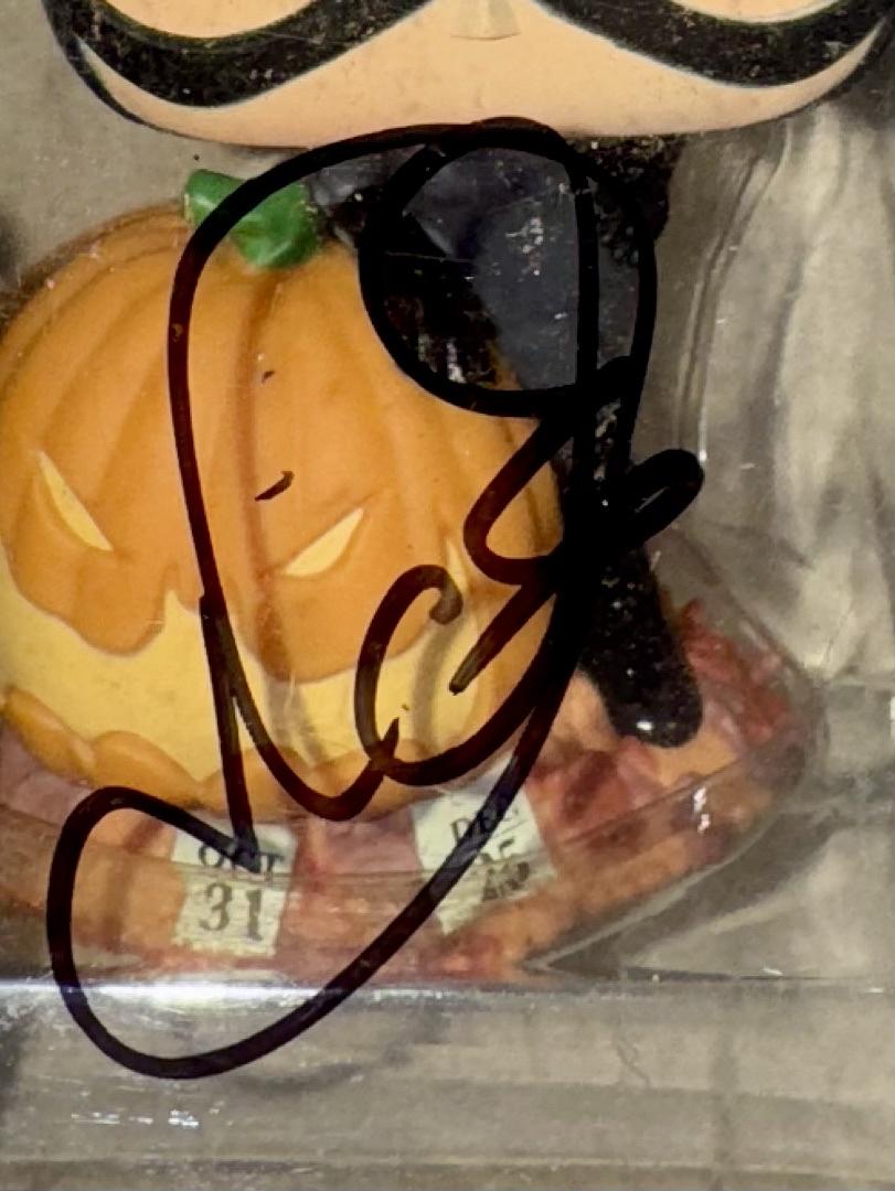 Halle Berry Signed Funko Pop #507 "Catwoman" (Batman) - ACOA