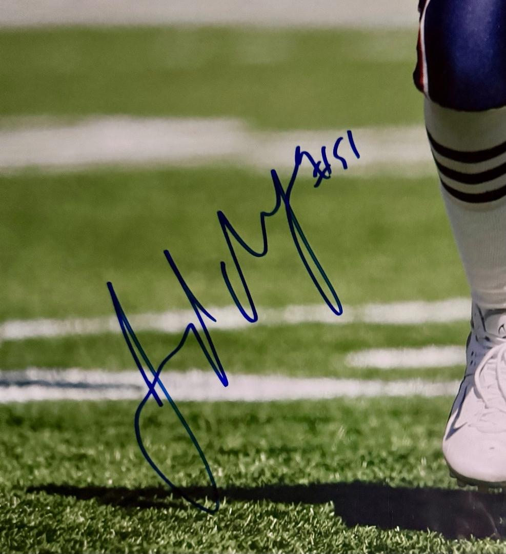 Jerod Mayo Signed 16x20 Photo New England Patriots - SureShot COA