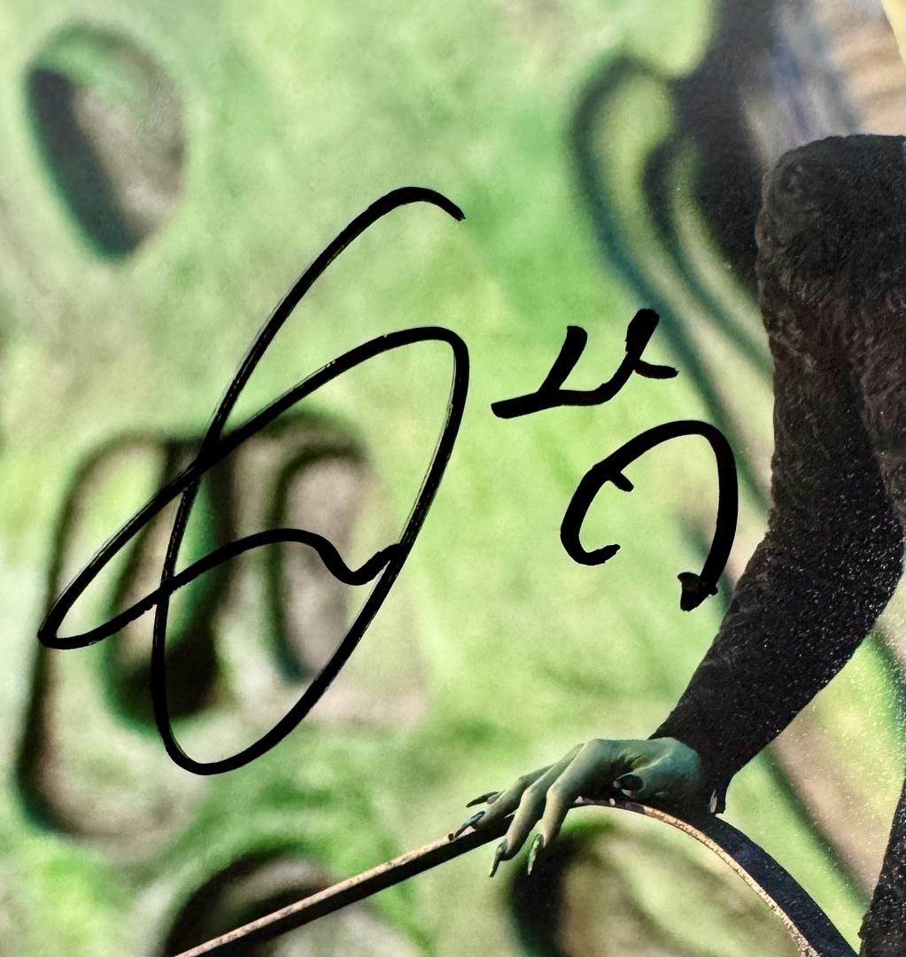 Cynthia Erivo Signed 8x10 Photo (Wicked) - JSA COA