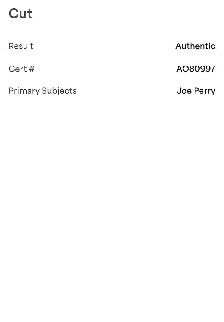 Joe Perry Signed Funko #173 Aerosmith - PSA COA