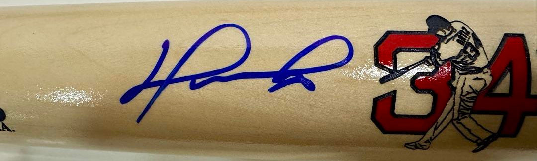 David Ortiz
