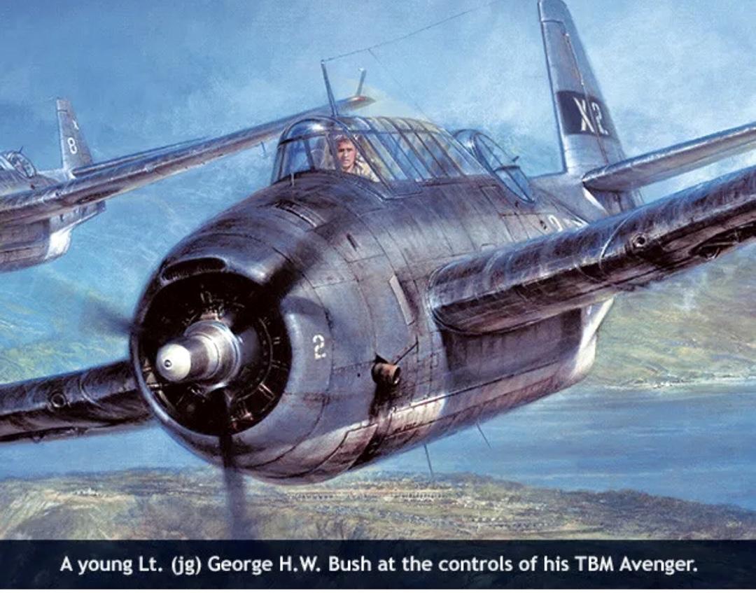 "Avengers of the Philippines" 37x24 limited edition (192/450) print signed by 7 of President George Bush's wingmen