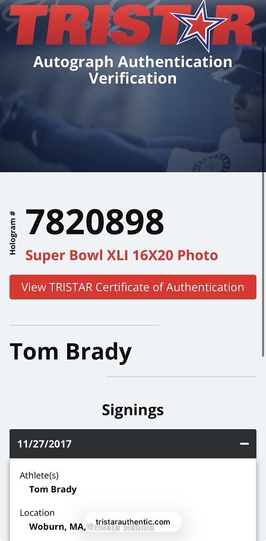 Tom Brady Autographed Patriots Super Bowl XLI 16x20 Photo Fanatics & TriStar COA
