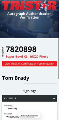 Tom Brady Autographed Patriots Super Bowl XLI 16x20 Photo Fanatics & TriStar COA
