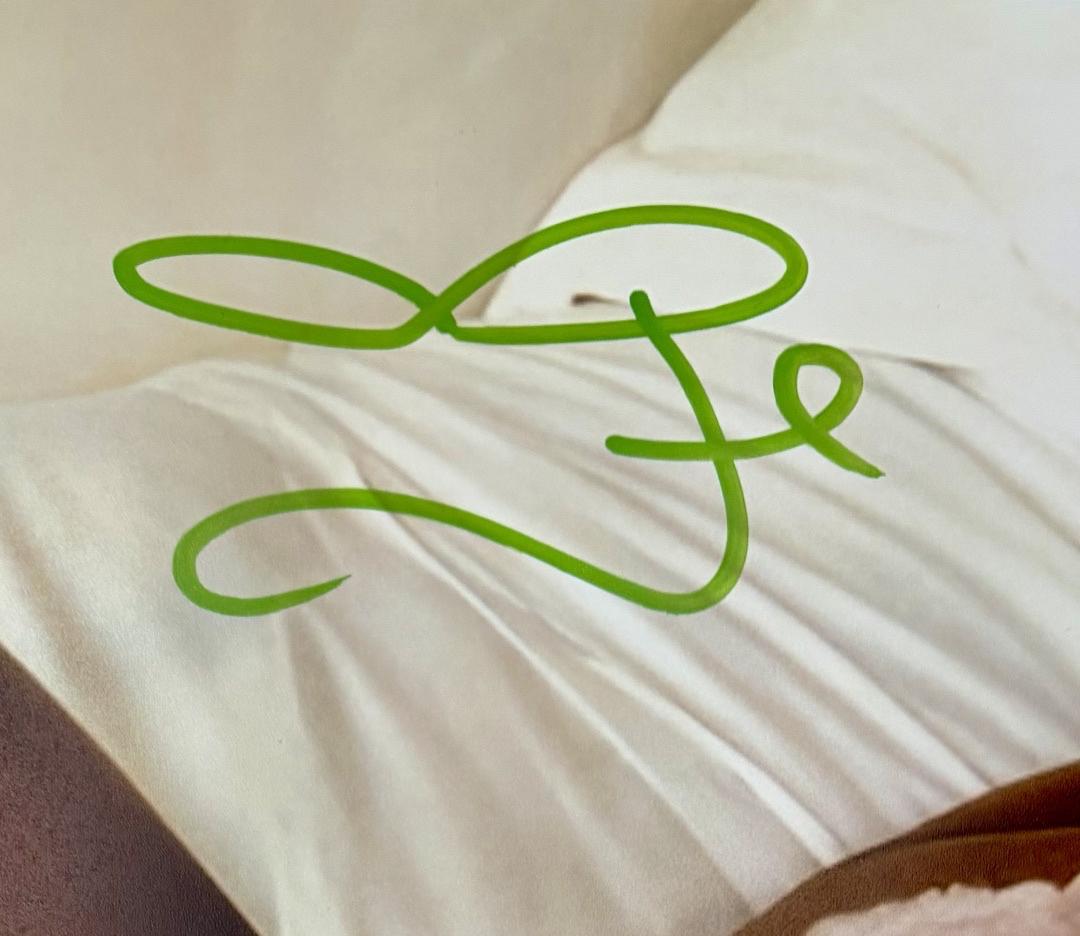 Megan Fox sexy signed 11x14 - Beckett COA
