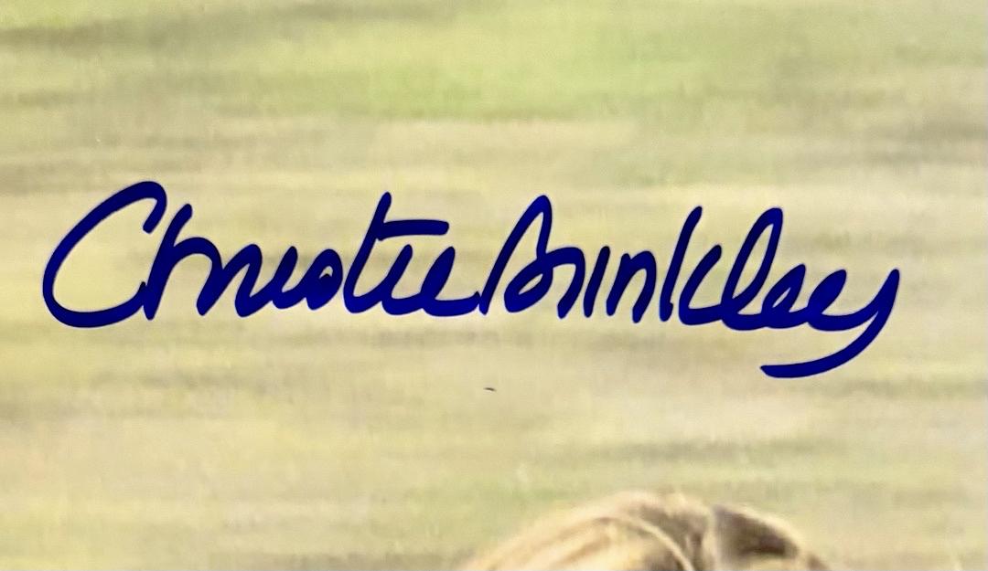 Christie Brinkley sexy Signed 11x14 Photo (National Lampoons Vacation)  - Beckett COA