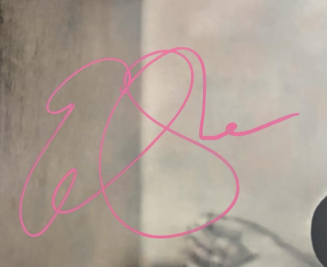 Elisabeth Shue Sexy Signed 11x14 Photo - JSA COA