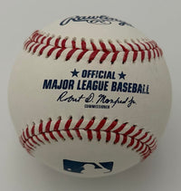 Carlos Narvaez signed baseball (Red Sox) - JSA COA