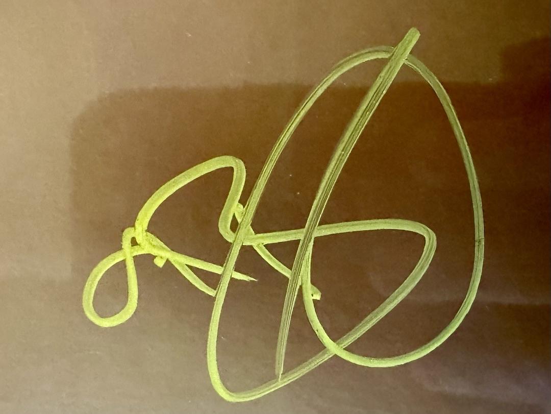 Blake Lively Signed 11x14 Photo  - JSA COA #02