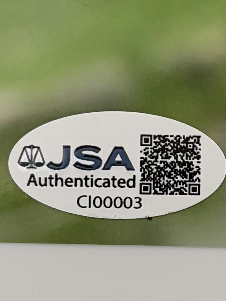 Jaime Pressly sexy signed 8x10 - JSA COA