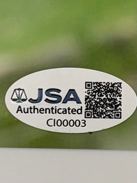 Jaime Pressly sexy signed 8x10 - JSA COA