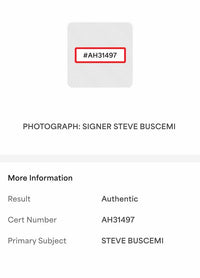 Steve Buscemi signed 11x14 (The Big Lebowski) - PSA/DNA COA