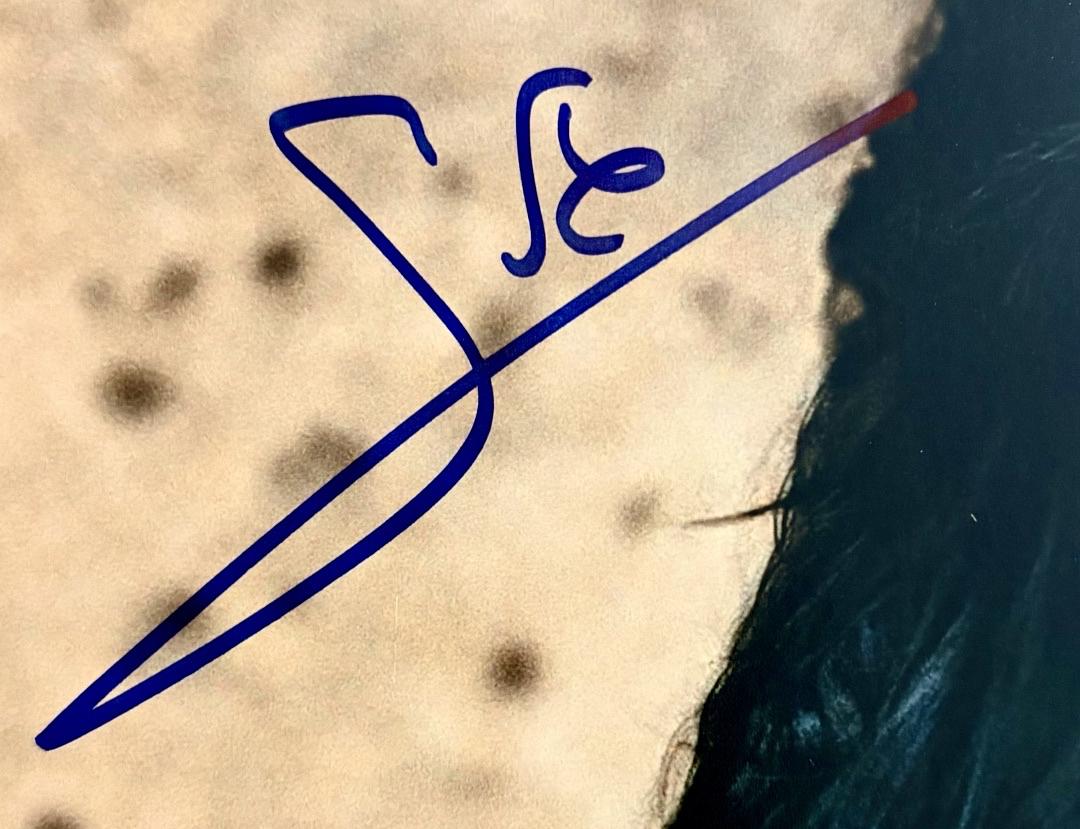 Gal Gadot sexy signed 11x14 Photo (Wonder Woman) - Celebrity Authentics