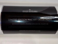 Cher 33x23 limited edition signed lithograph - Original Memorabilia Private Signing