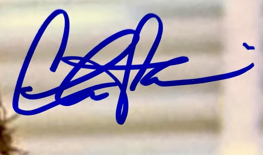 Charlie Sheen signed 11x14 (Ferris Bueller's Day Off) - PSA/DNA COA