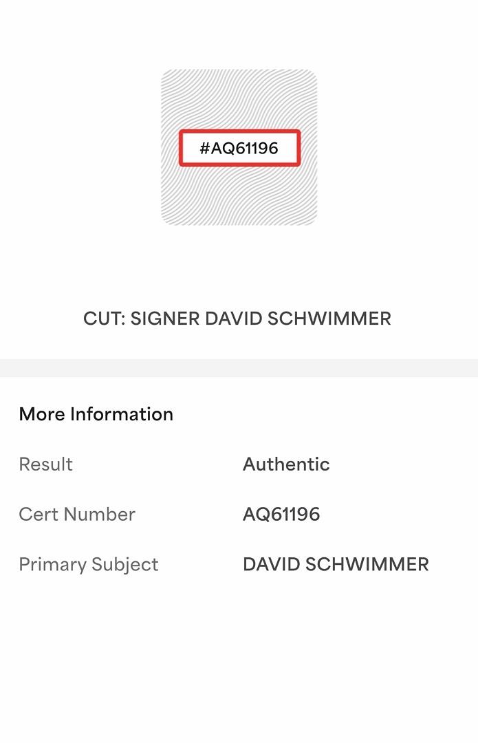 David Schwimmer signed "Ross Geller" Funko #702 (Friends) - *RARE* PSA COA
