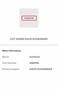 David Schwimmer signed "Ross Geller" Funko #702 (Friends) - *RARE* PSA COA