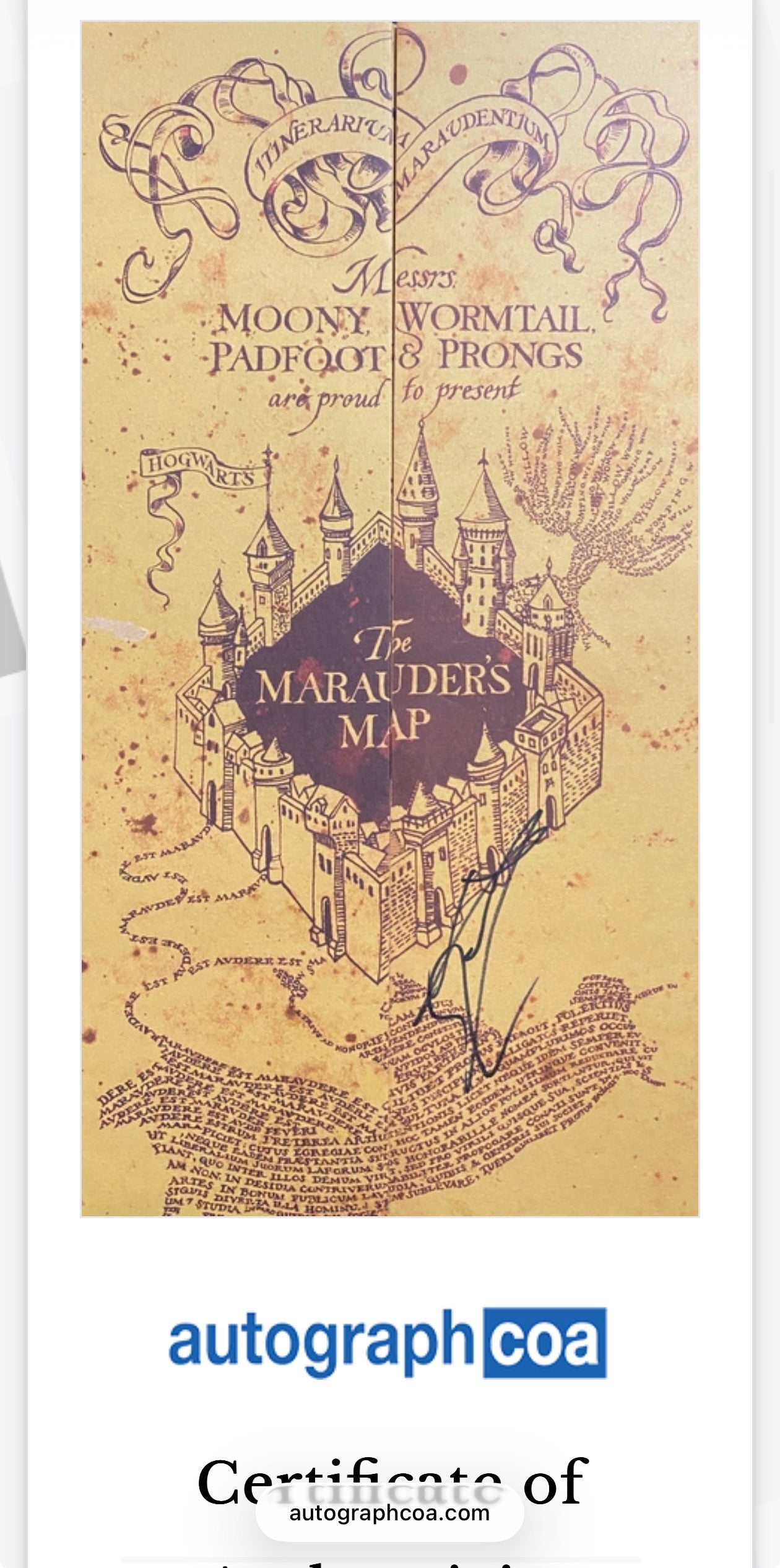 Daniel Radcliffe Signed 13x19 Marauders Map (Harry Potter) - Beckett COA