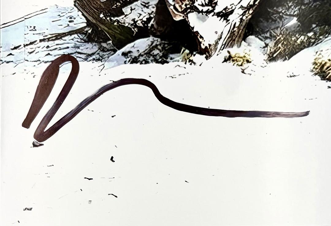 Ryan Reynolds Deadpool Signed 11x14 Photo  - Beckett COA