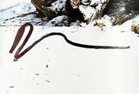 Ryan Reynolds Deadpool Signed 11x14 Photo  - Beckett COA