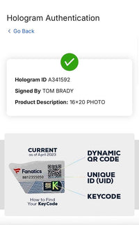 Tom Brady Autographed Patriots Super Bowl XLI 16x20 Photo Fanatics & TriStar COA
