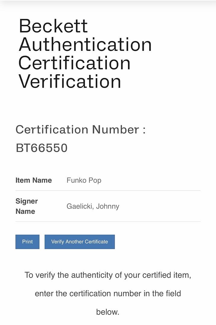 Johnny Gaelicki signed "Leonard Hofstadter" Funko #778 (Big Bang Theory) - Beckett COA