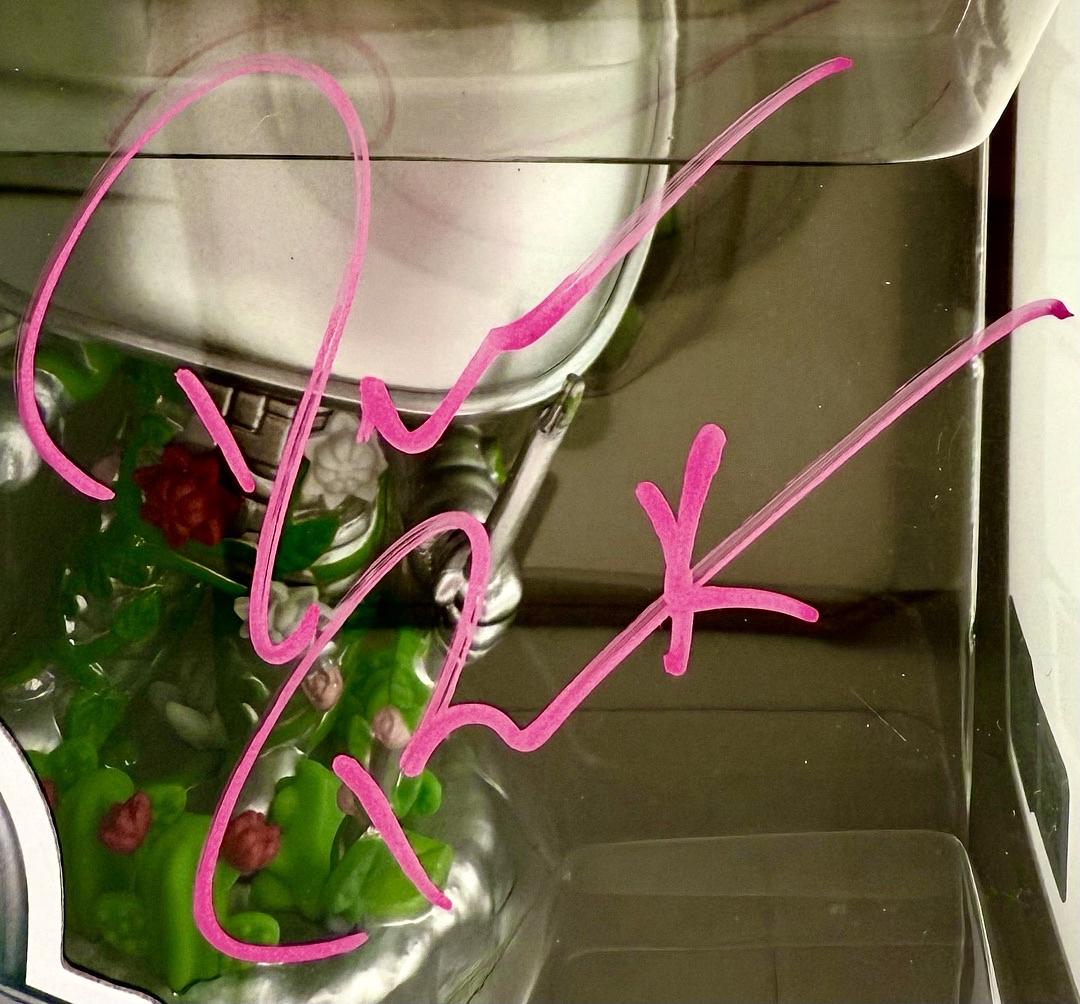 Darius Rucker signed MTV Funko #201 - OC Celebrity Marketing COA