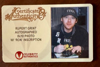 Rupert Grint 8x10 Photo (Harry Potter) - Celebrity Authentics COA