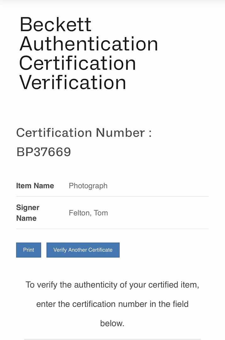 Tom Felton Signed 8x10 Photo (Harry Potter) - FanExpo HQ & Beckett COA