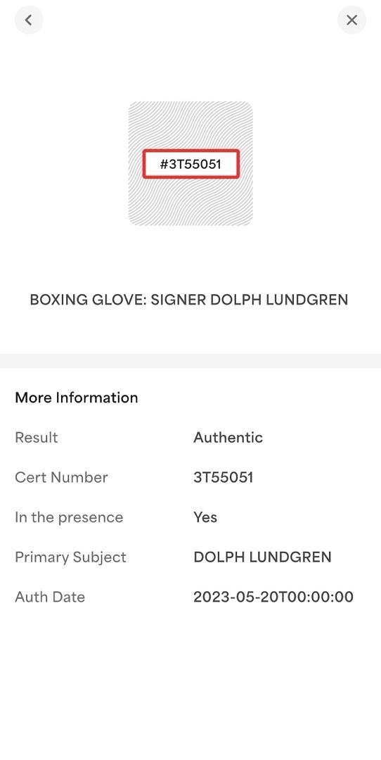 Dolph Lundgren Signed Everlast Boxing Glove - PSA COA
