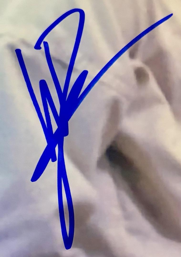 Ralph Macchio Billy Zapka & Martin Cove signed 11x14 (Karate Kid) - JSA