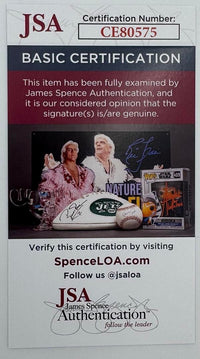 Steven Tyler Signed Funko Pop #172 (Aerosmith) *RARE* - JSA COA