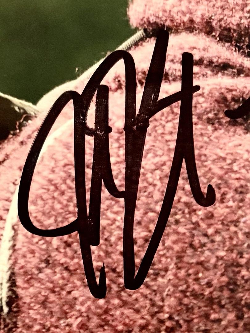 John Krasinski Signed 11x14 Photo (A Quiet Place) - Beckett COA