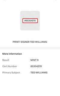 Ted Williams (Red Sox) signed 8.5x11 Print Graded Mint 9 - PSA Encapsulated