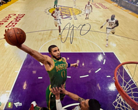 Jayson Tatum Signed 16x20 Photo Boston Celtics - Fanatics COA #02