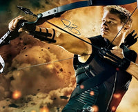 Jeremy Renner Signed 16x20 Photo (Avengers) - Beckett COA