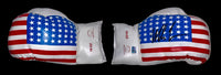 Mike Tyson Signed USA Last Punch Glove Set - Fiterman COA