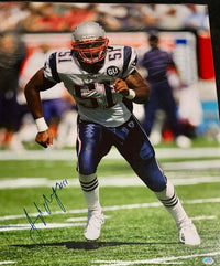 Jerod Mayo Signed 16x20 Photo New England Patriots - SureShot COA