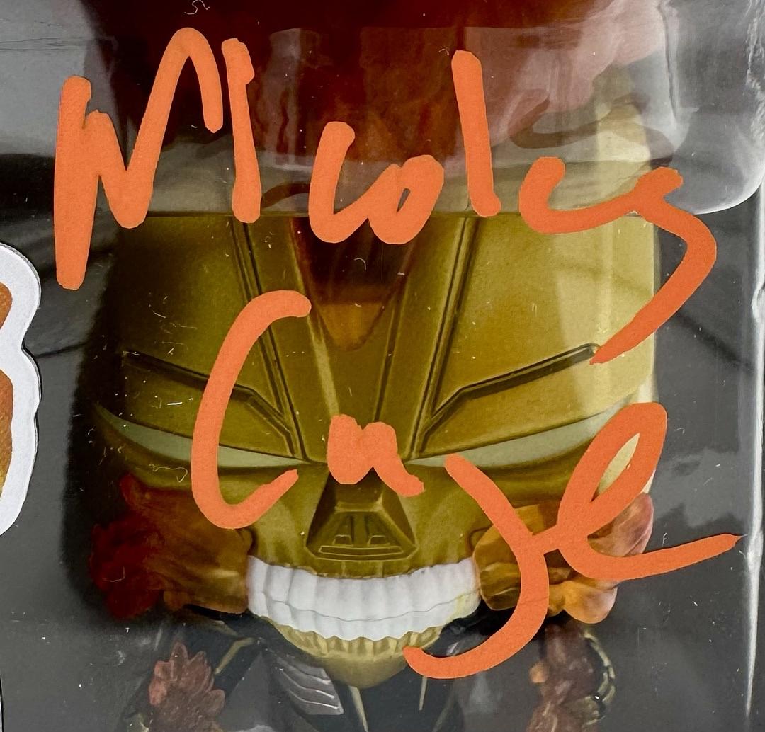 Nicholas Cage Signed Limited Edition Funko Pop #1248 (Ghost Rider Gamerverse) - Celebrity Authentics